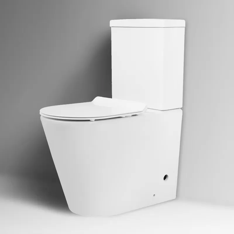 현대적인 고품질 세라믹 스탠드형 바닥 변기, 청소가 쉬 - Home Bathroom With Two Toilets 리뷰 및 가격