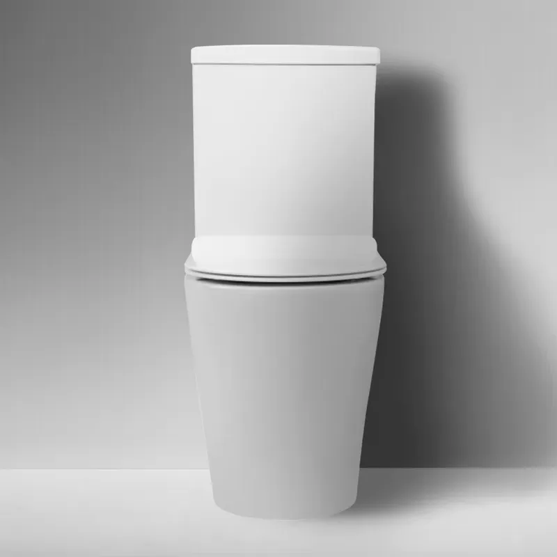 현대적인 고품질 세라믹 스탠드형 바닥 변기, 청소가 쉬 - Home Bathroom With Two Toilets 리뷰 및 가격