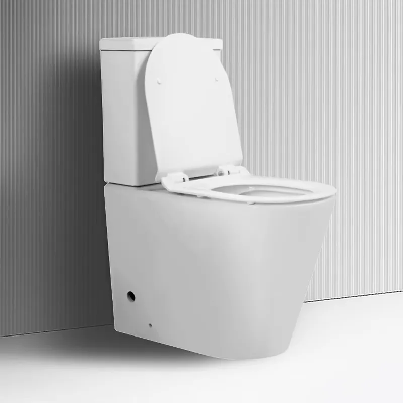 현대적인 고품질 세라믹 스탠드형 바닥 변기, 청소가 쉬 - Home Bathroom With Two Toilets 리뷰 및 가격